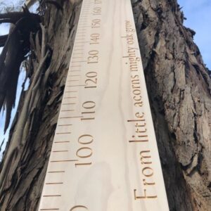 Engraved ruler growth chart