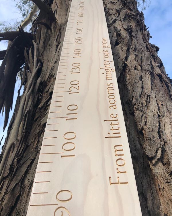 Engraved ruler growth chart